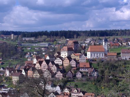 Nagoldtal-Radweg: Blick auf Altensteig am 29. April 2006