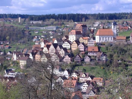 Nagoldtal-Radweg: Blick auf Altensteig am 29. April 2006