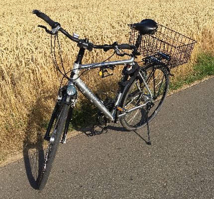 Koga Signature Rad am Kornfeld in Mainz