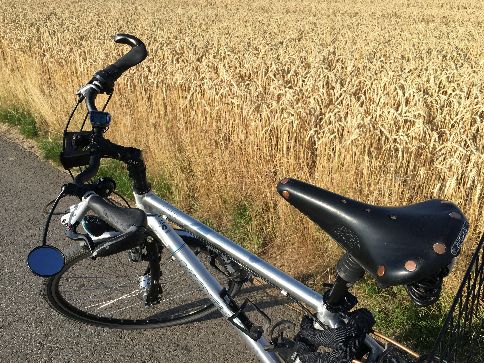 Koga Signature Rad mit Spiegel am Kornfeld