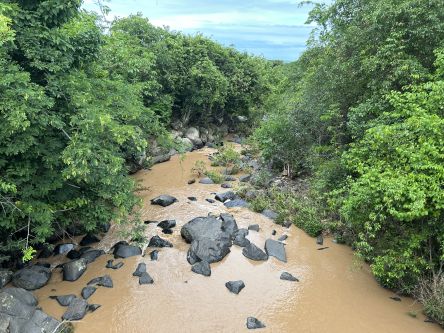 Am Rand eines kleinen Flusses mit Felsen und dichter Vegetation