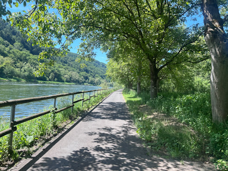 Moselradweg bei Ediger-Eller
