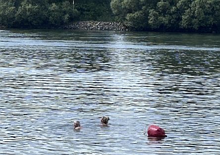 Ehepaar lässt sich den Fluss hinabtreiben