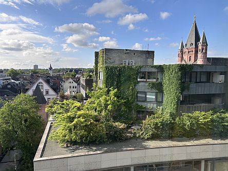 Dachbepflanzung und Dom