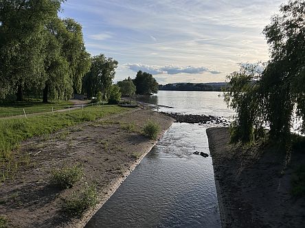 Selzmündung bei Frei-Weinheim