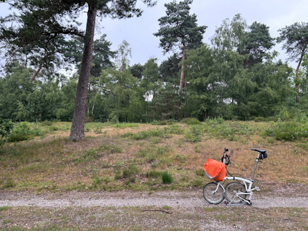 Geklapptes Faltrad in den Maasdünen