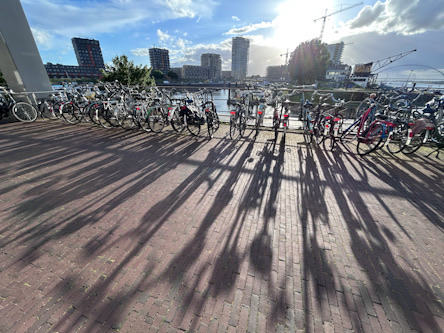 Nijmegen: Fahrradreihe im Gegenlicht der Abendsonne