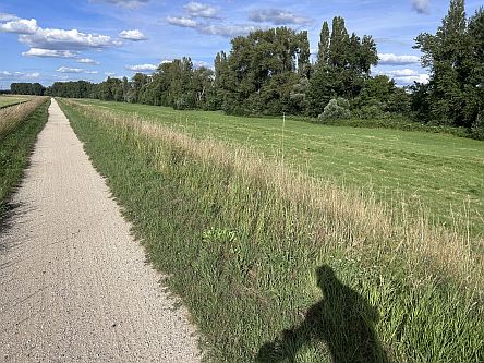 Nicht-asphaltierter Radweg mit Schatten vom Radler