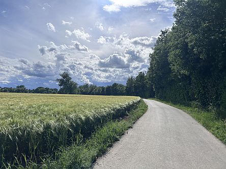 Selztalradweg kurz vor Stadecken