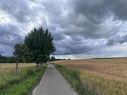 Selztal-Radweg bei Elsheim