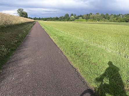 Rhein-Radweg bei Uhlerborn