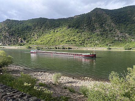 Binnenschiff Amazone auf dem Rhein