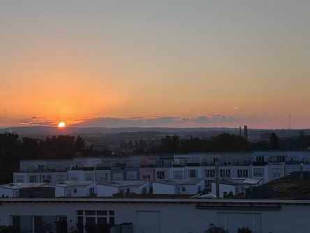 Sonnenaufgang im Sommer über dem Taunus