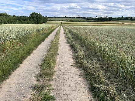 Feldweg bei Ober-Olm