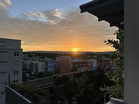 Sonnenuntergang über dem Rheingau