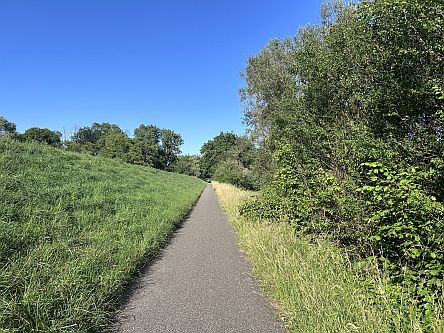 Rhein-Radweg bei Mainz