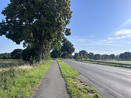 Radweg an Landstraße