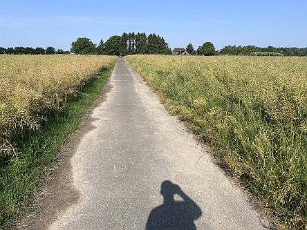 Asphaltierter Feldweg