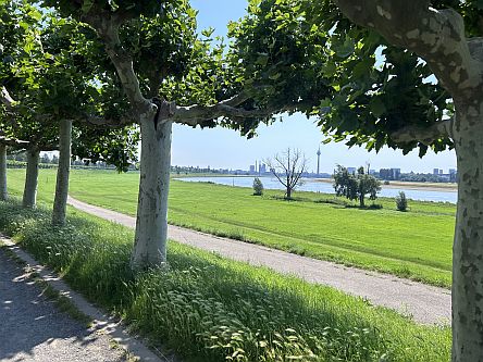 Westufer des Rheins bei Düsseldorf