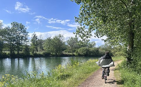 Radlerin mit wehendem  Regencape  an Flussradweg