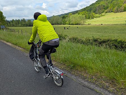 Brompton-Radler im Grünen