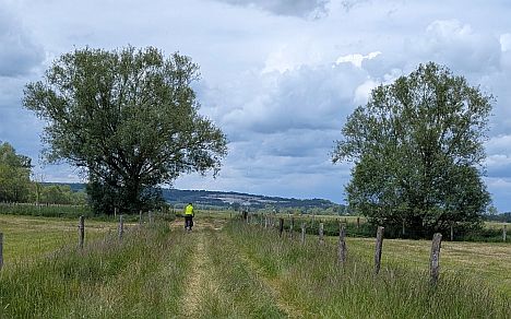 Radler zwischen Bäumen auf Feldweg