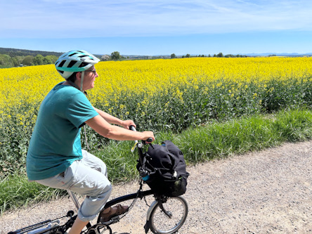 Person fährt ein kleines Reiserad auf einem Schotterweg entlang eines gelben Rapsfeldes