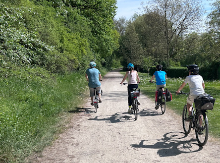 Vier Personen fahren mit Fahrrädern auf einem breiten Weg durch eine grüne Parklandschaft