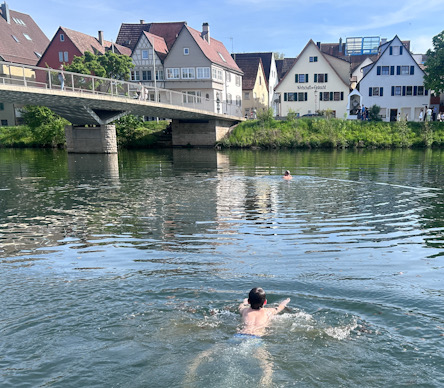 Person schwimmt in einem Fluss nahe einer Brücke, Häuser stehen am gegenüberliegenden Ufer