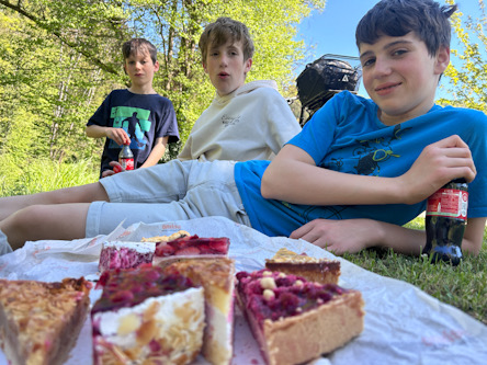 Drei Kinder sitzen im Gras neben einem Picknick mit Kuchenstücken und Getränken
