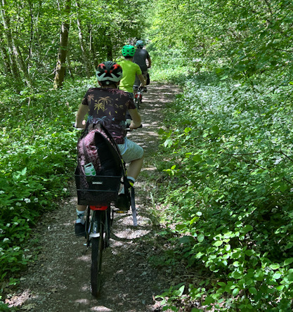 Waldradweg bei Tübingen