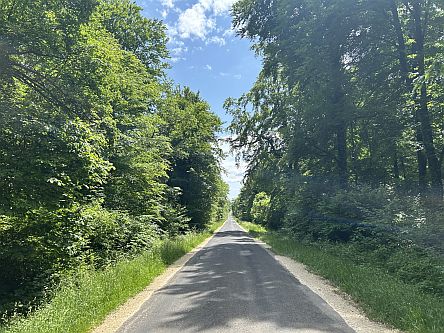 D 331: Tranchée de Calonne