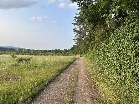 Ascheweg bei Uhlerborn