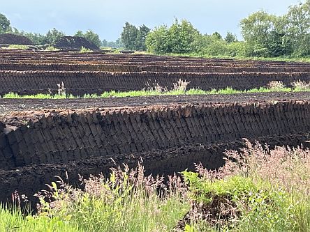 Campemoor: Torfabbau