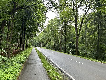 Radweg an Steinfelder Straße