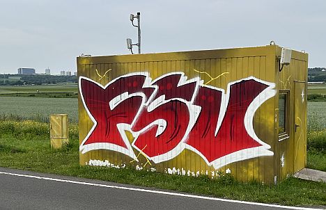 FSV-Fanbemalung von Container