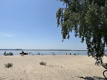 Strand am Steinhuder Meer