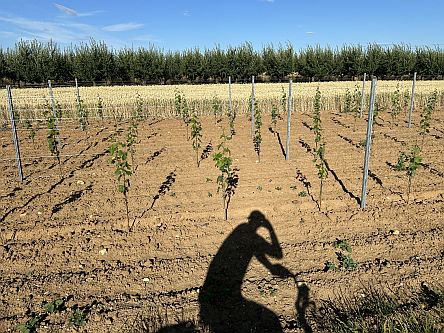 Schattenfahrt über die Höhe