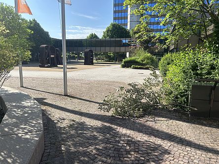 Hindernisfahren: Ast wird immer wieder in den (Rad-)Weg geschoben