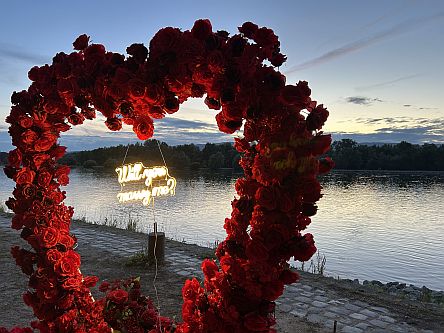 Rheinromantik: Will you marry me?