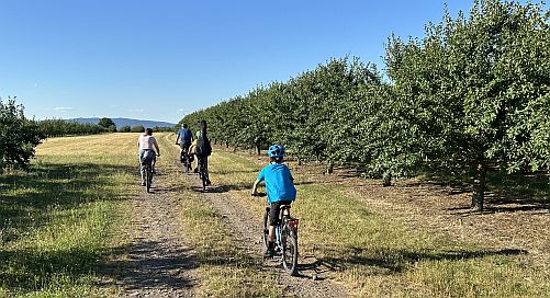 Höllenberg bei Mainz