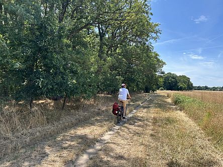 Radler bei Lambsheim