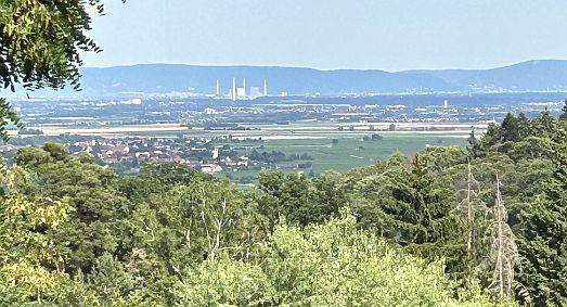 Blick ins Rheintal bei Mannheim