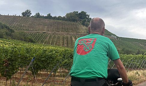 Radler in den Weinbergen bei Nierstein