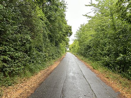 Nasser Asphalt-Feldweg