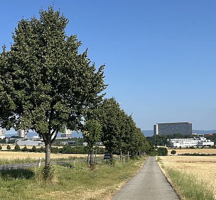 Zufahrt von Klein-Winternheim auf das ZDF