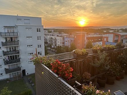 Sonnenuntergang über dem Rheingau