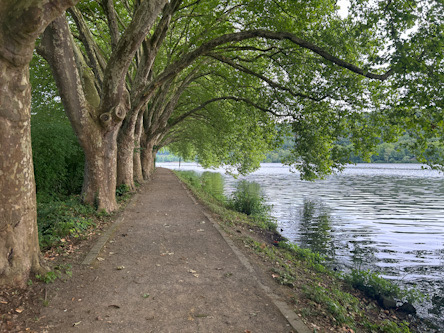 Baldeneysee Südufer