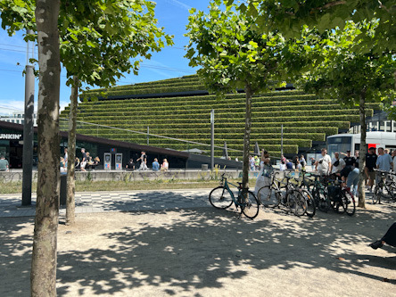 Gustaf-Gründgens-Platz in Düsseldorf: grüne Fassade