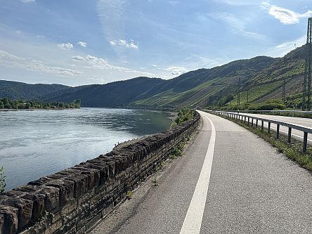 Rheinradweg bei Boppard